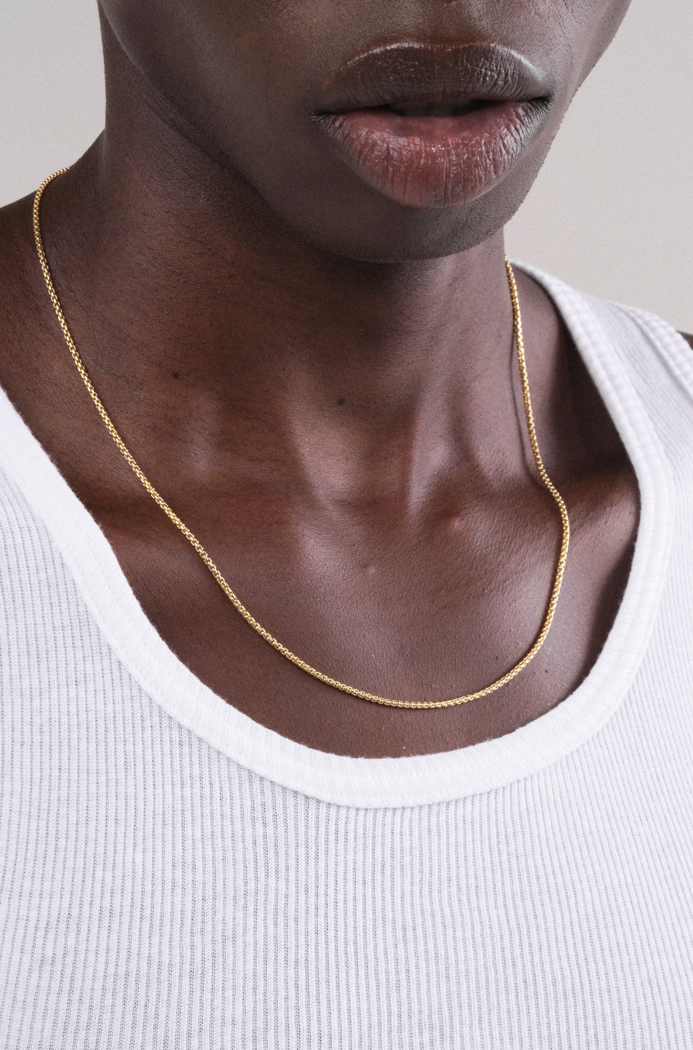 The Hudson Chain Necklace